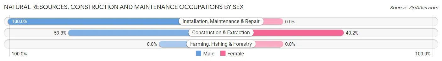 Natural Resources, Construction and Maintenance Occupations by Sex in Pasadena Hills
