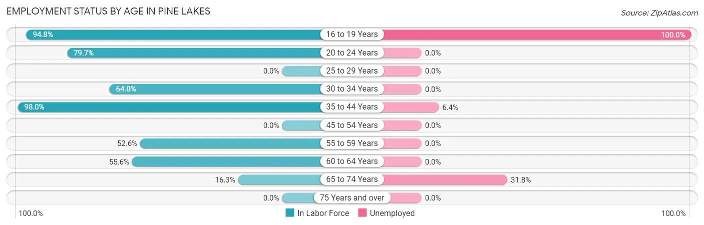 Employment Status by Age in Pine Lakes