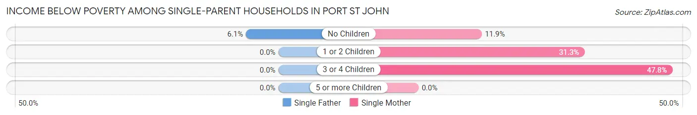 Income Below Poverty Among Single-Parent Households in Port St John