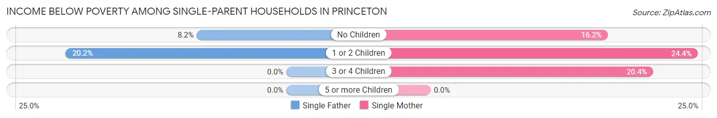 Income Below Poverty Among Single-Parent Households in Princeton