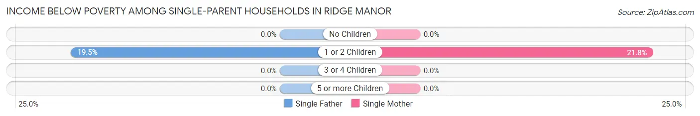 Income Below Poverty Among Single-Parent Households in Ridge Manor