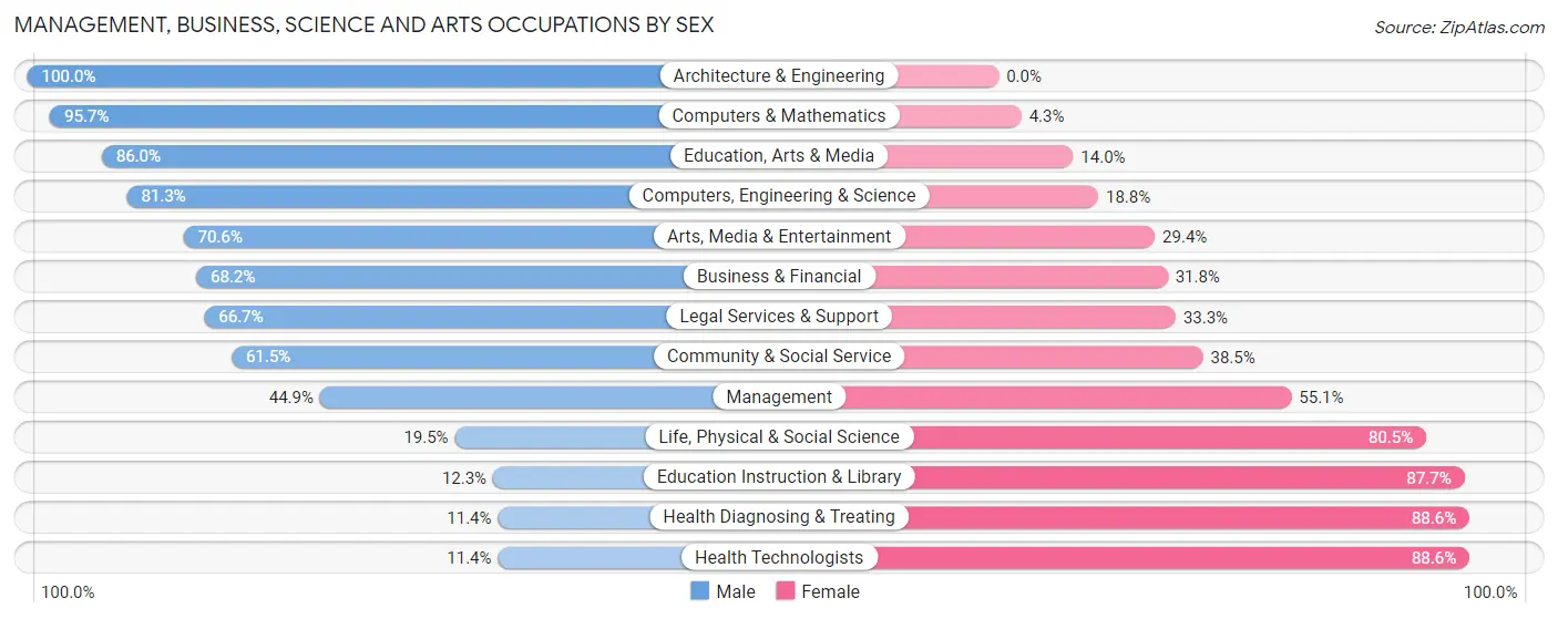 Management, Business, Science and Arts Occupations by Sex in Rio Pinar