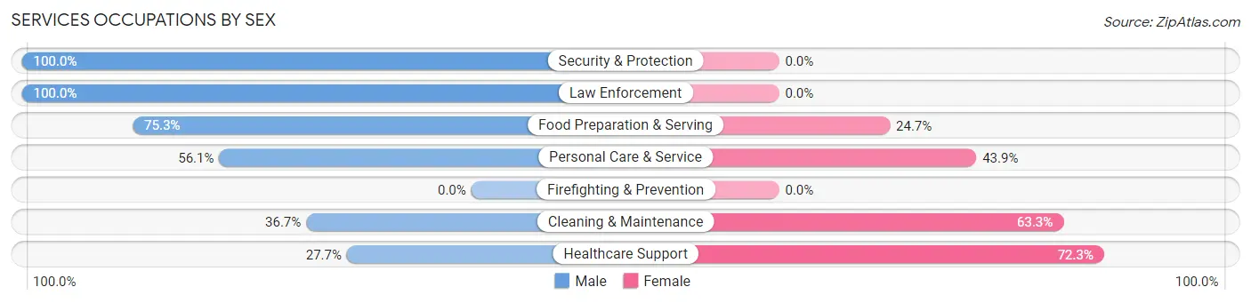 Services Occupations by Sex in Rio Pinar