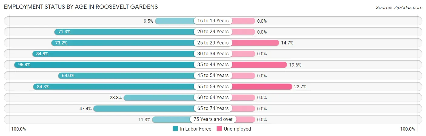 Employment Status by Age in Roosevelt Gardens