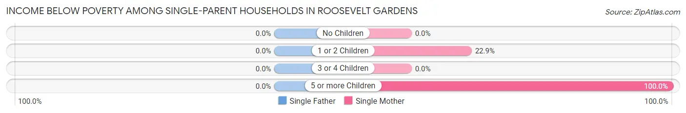 Income Below Poverty Among Single-Parent Households in Roosevelt Gardens