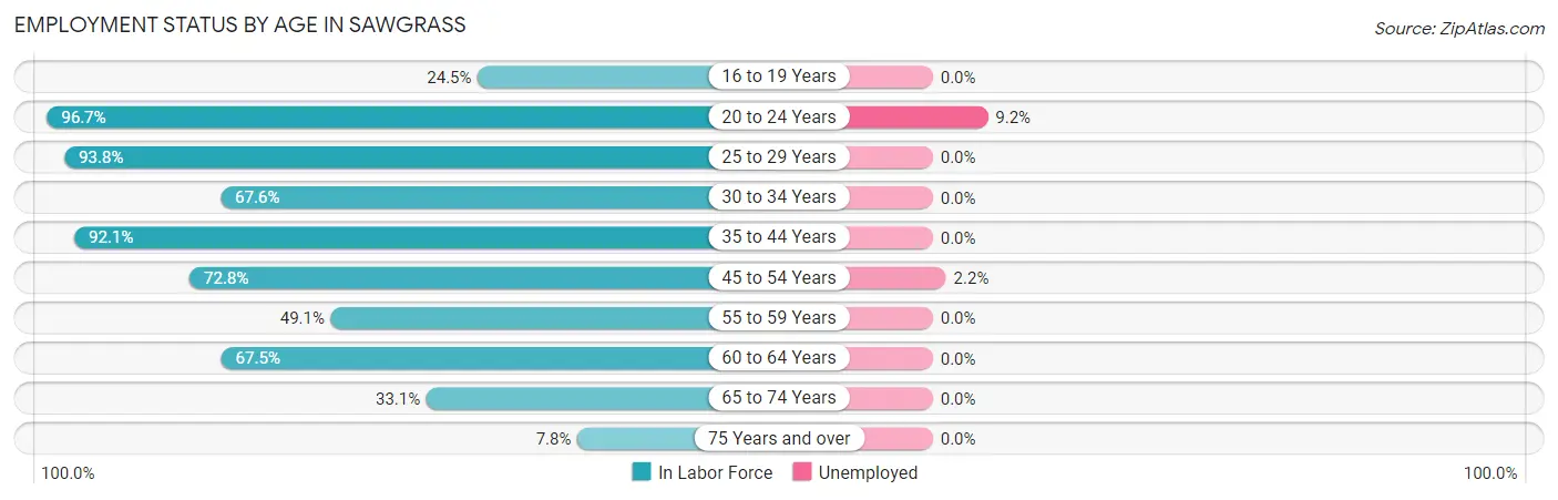 Employment Status by Age in Sawgrass
