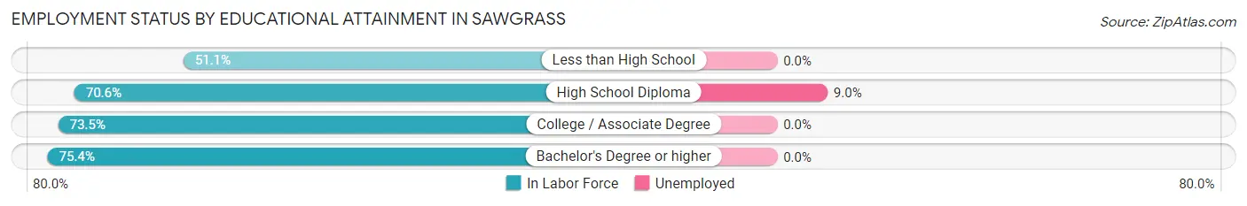 Employment Status by Educational Attainment in Sawgrass