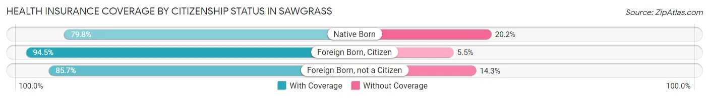 Health Insurance Coverage by Citizenship Status in Sawgrass