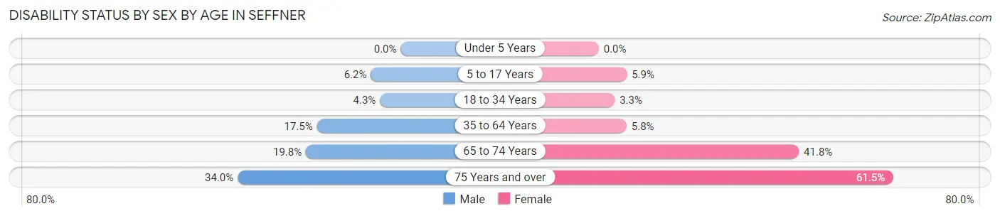 Disability Status by Sex by Age in Seffner