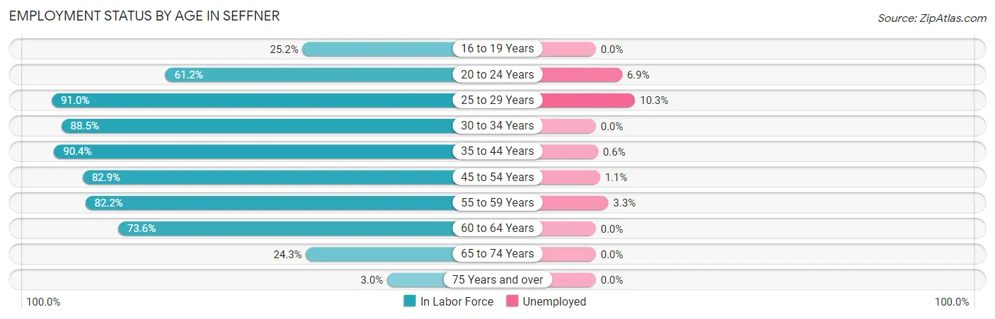 Employment Status by Age in Seffner