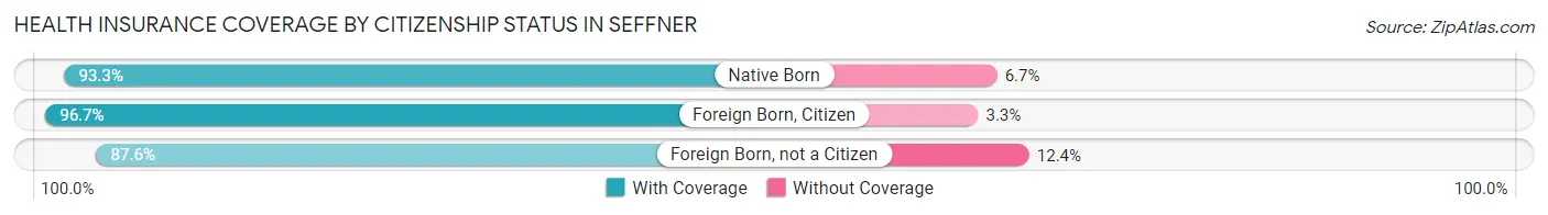 Health Insurance Coverage by Citizenship Status in Seffner