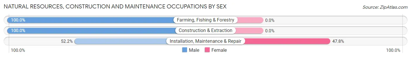Natural Resources, Construction and Maintenance Occupations by Sex in St Augustine South