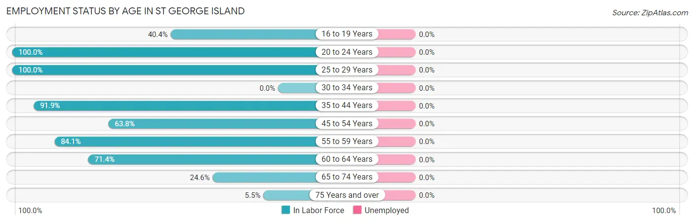 Employment Status by Age in St George Island