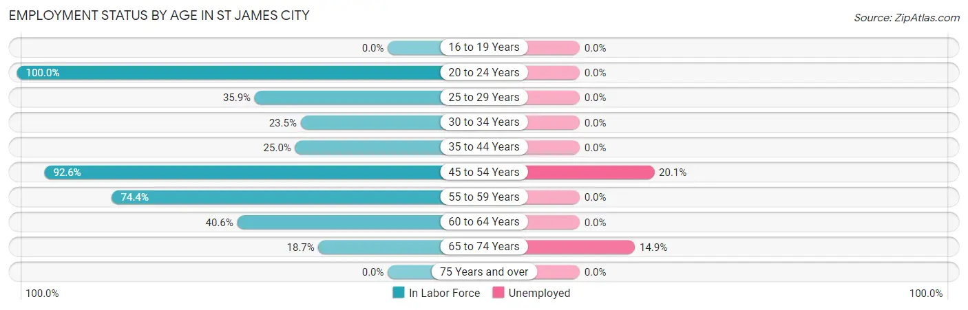 Employment Status by Age in St James City