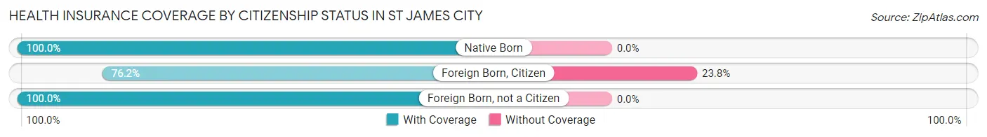 Health Insurance Coverage by Citizenship Status in St James City