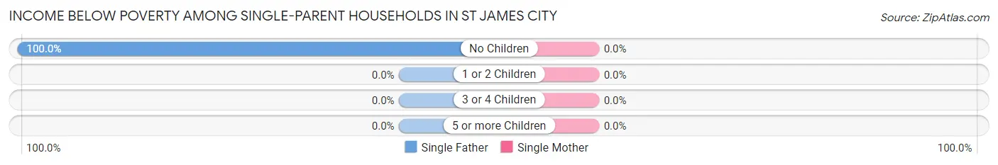 Income Below Poverty Among Single-Parent Households in St James City