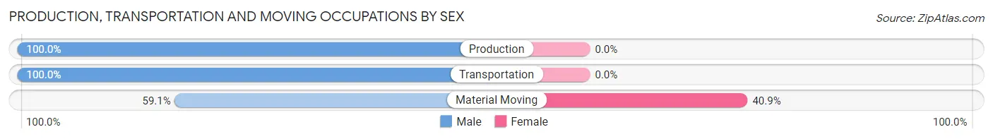 Production, Transportation and Moving Occupations by Sex in St James City