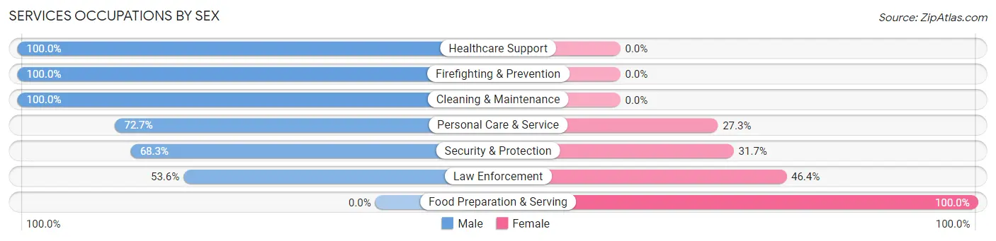 Services Occupations by Sex in St James City