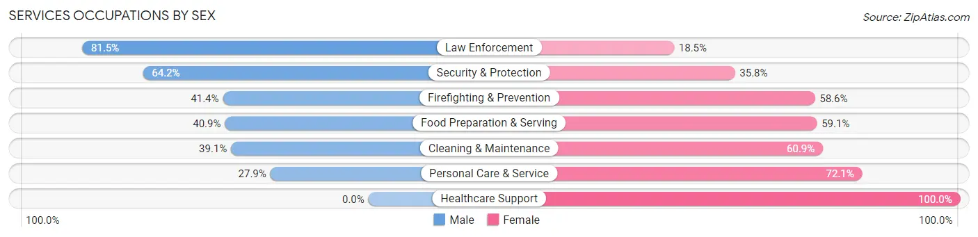 Services Occupations by Sex in Sun City Center