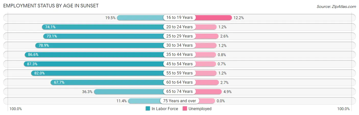 Employment Status by Age in Sunset