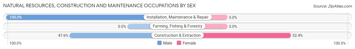 Natural Resources, Construction and Maintenance Occupations by Sex in Tangelo Park