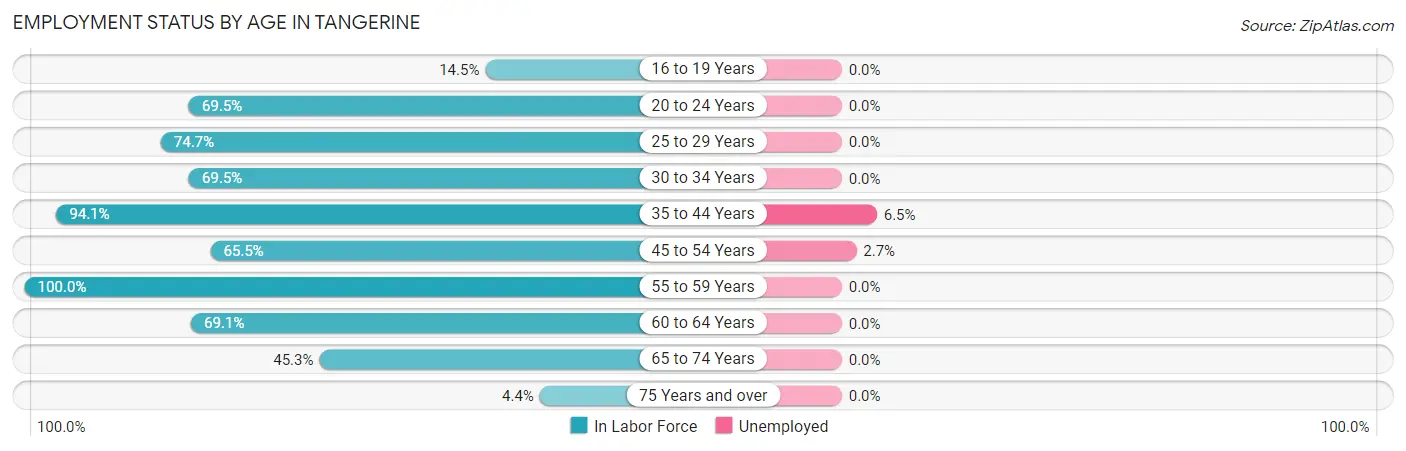 Employment Status by Age in Tangerine