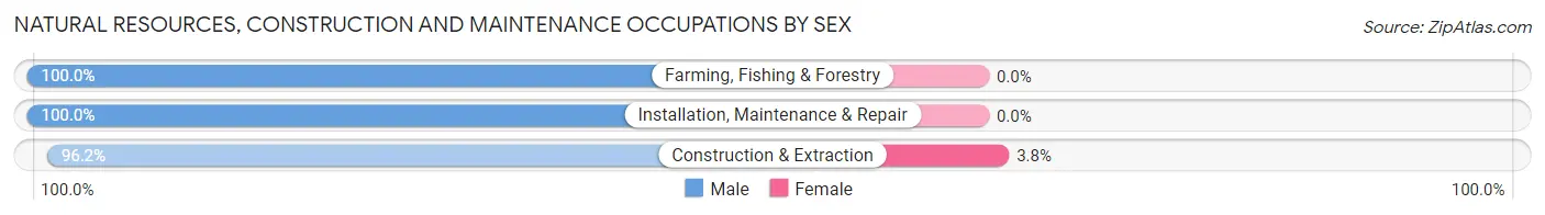 Natural Resources, Construction and Maintenance Occupations by Sex in The Crossings