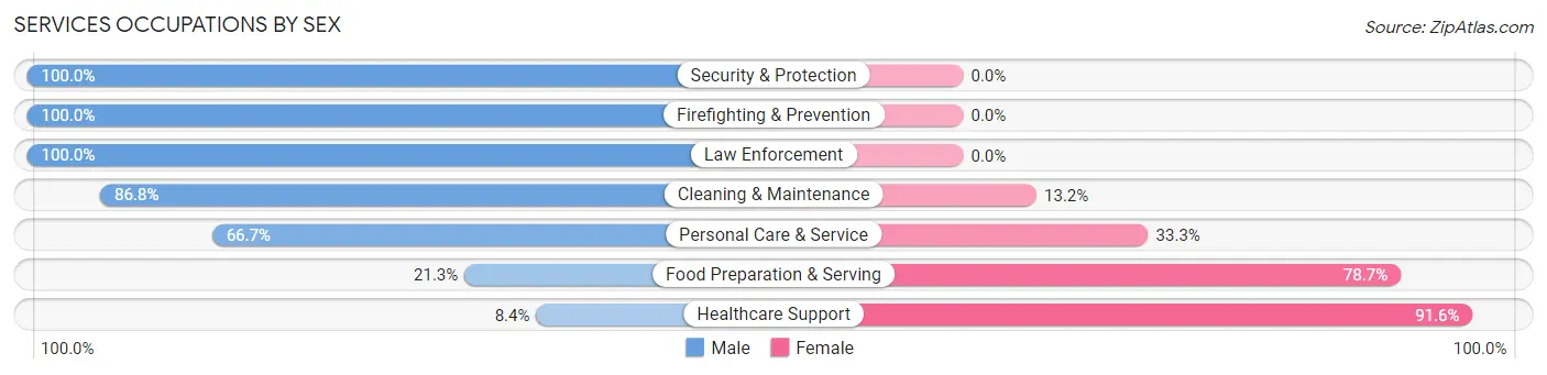 Services Occupations by Sex in The Villages