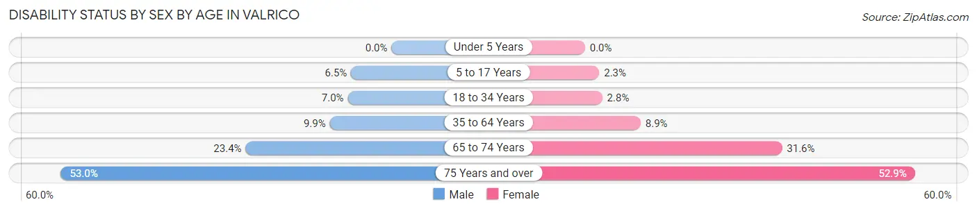 Disability Status by Sex by Age in Valrico