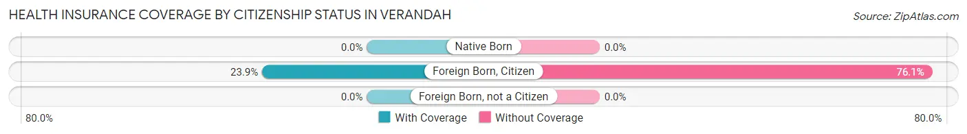 Health Insurance Coverage by Citizenship Status in Verandah