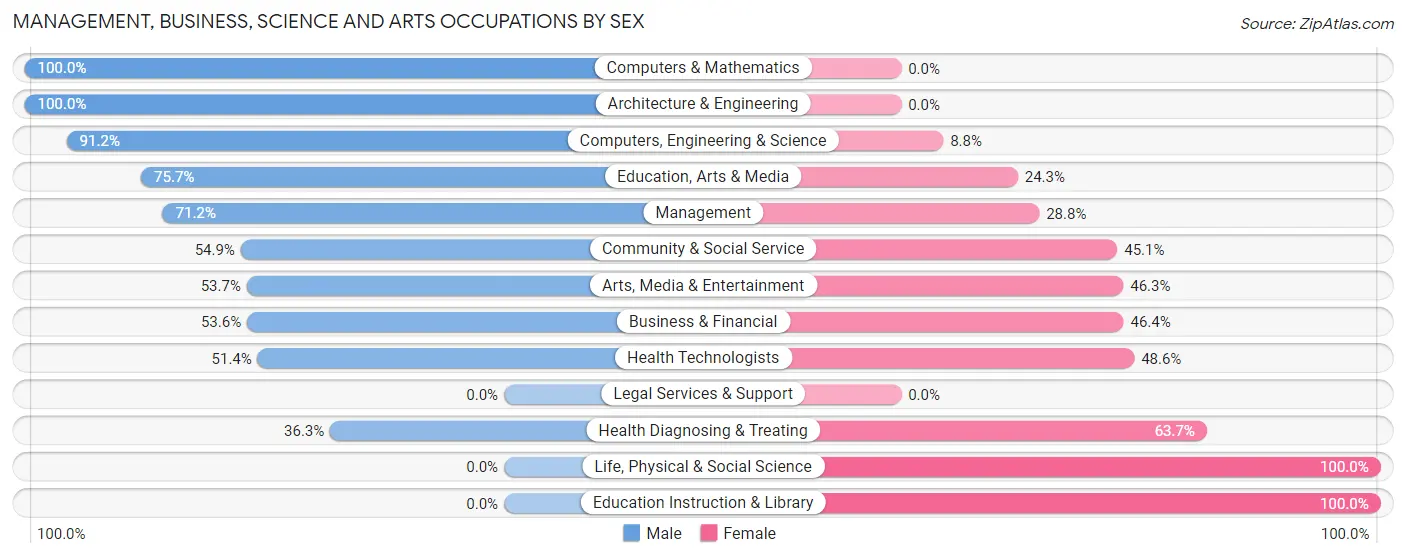 Management, Business, Science and Arts Occupations by Sex in Vilano Beach