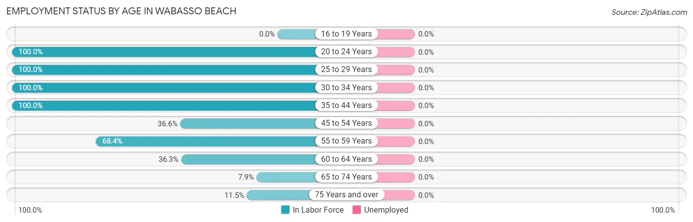 Employment Status by Age in Wabasso Beach