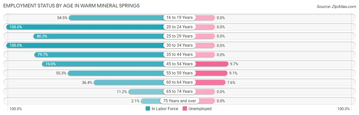 Employment Status by Age in Warm Mineral Springs