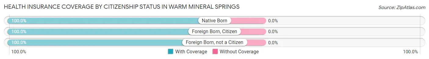 Health Insurance Coverage by Citizenship Status in Warm Mineral Springs