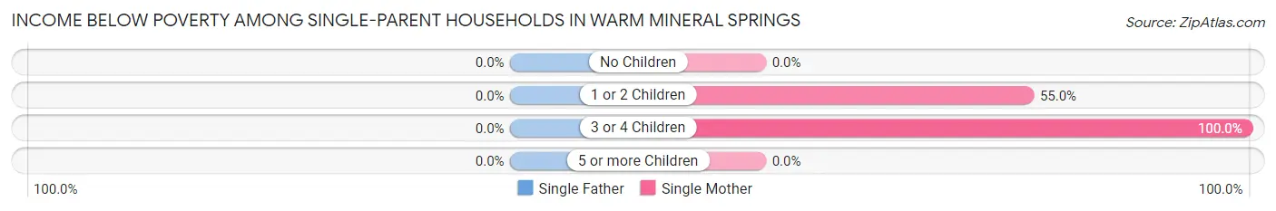Income Below Poverty Among Single-Parent Households in Warm Mineral Springs