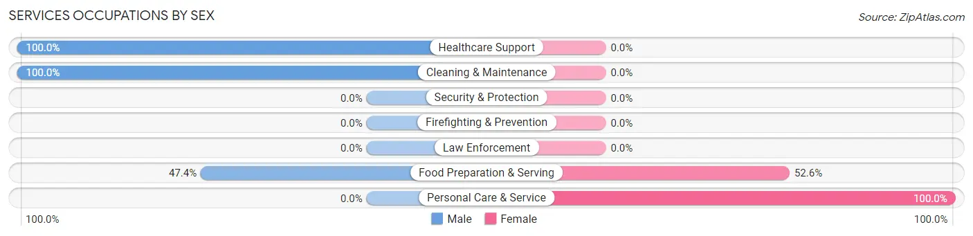 Services Occupations by Sex in Warm Mineral Springs