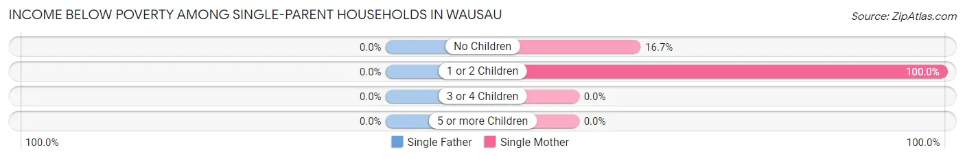 Income Below Poverty Among Single-Parent Households in Wausau