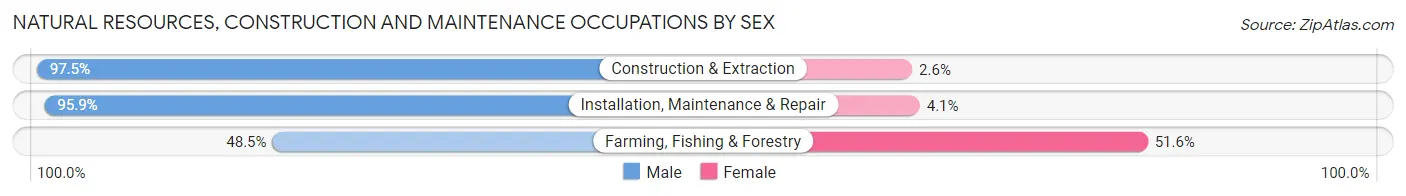 Natural Resources, Construction and Maintenance Occupations by Sex in Westchester