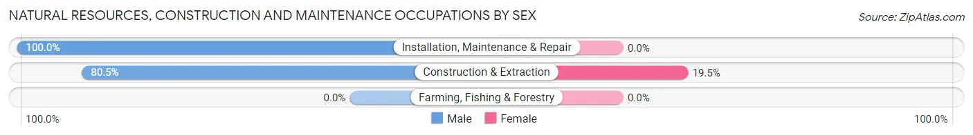 Natural Resources, Construction and Maintenance Occupations by Sex in Whiskey Creek