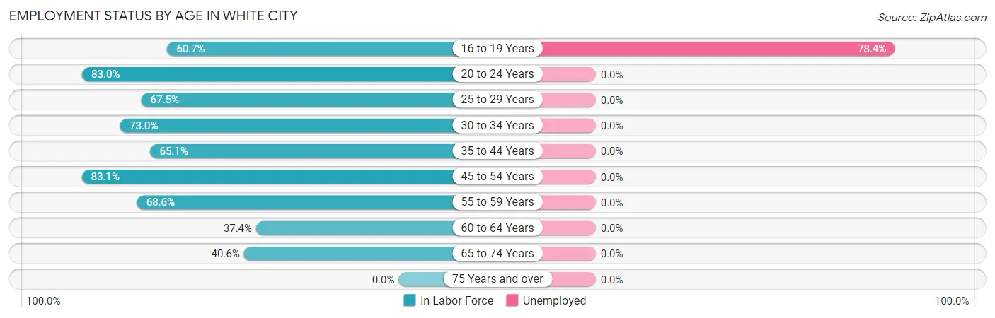 Employment Status by Age in White City