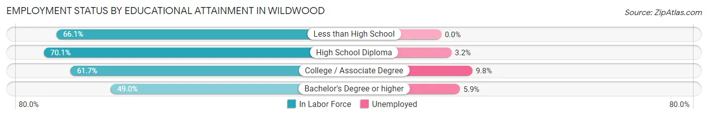 Employment Status by Educational Attainment in Wildwood