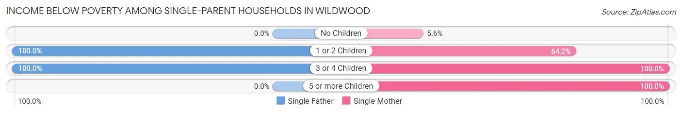 Income Below Poverty Among Single-Parent Households in Wildwood
