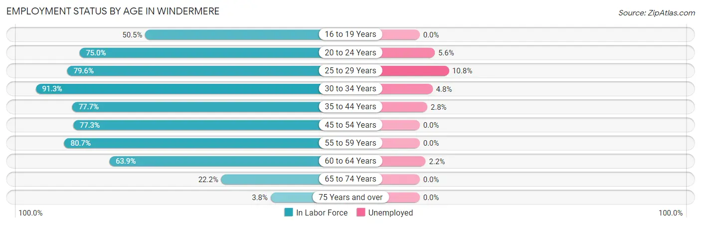 Employment Status by Age in Windermere