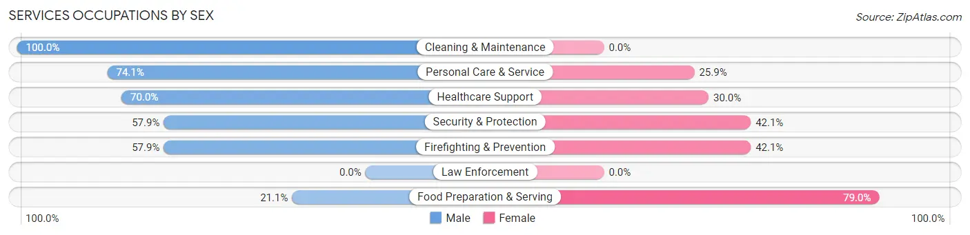 Services Occupations by Sex in Windermere