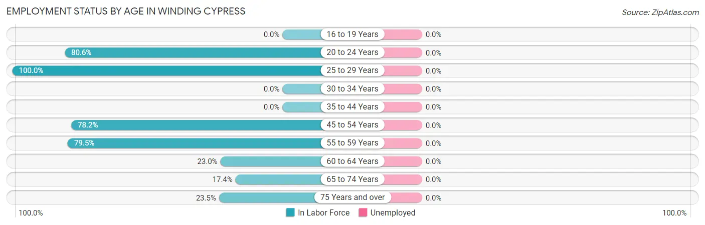Employment Status by Age in Winding Cypress