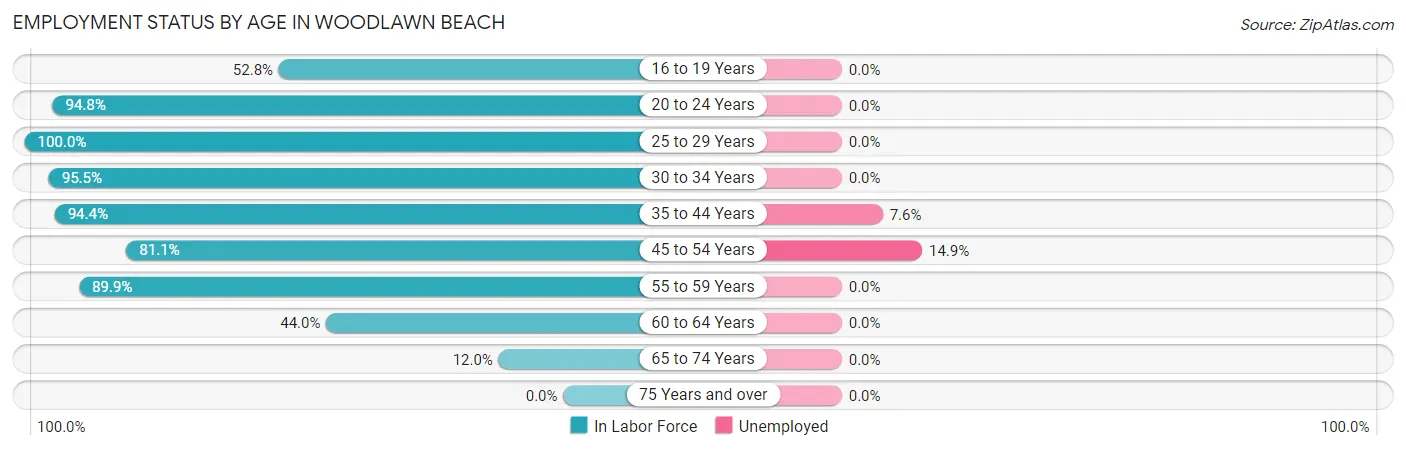 Employment Status by Age in Woodlawn Beach