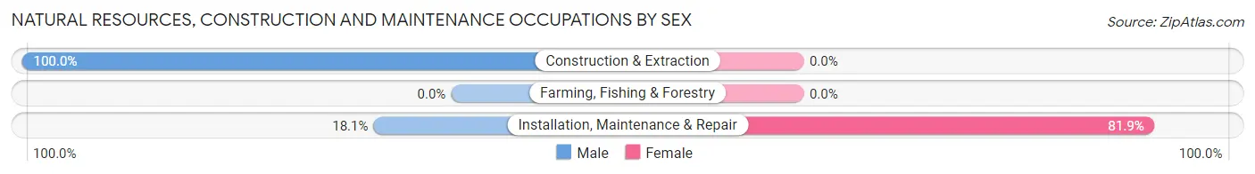 Natural Resources, Construction and Maintenance Occupations by Sex in Woodlawn Beach