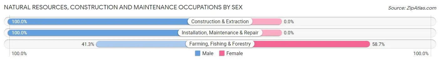 Natural Resources, Construction and Maintenance Occupations by Sex in Zellwood
