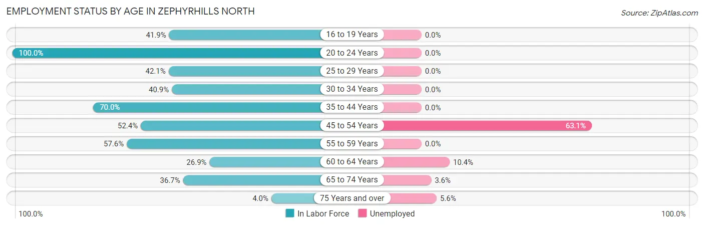 Employment Status by Age in Zephyrhills North