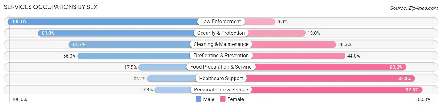 Services Occupations by Sex in Zephyrhills South
